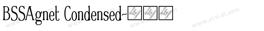BSSAgnet Condensed字体转换